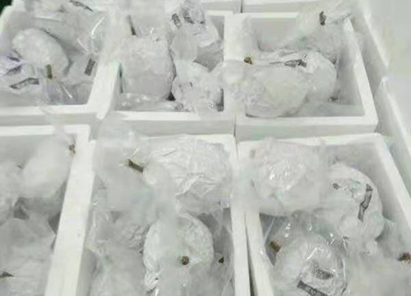 馬來西亞進口榴連