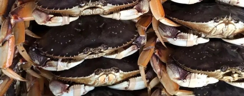 水產(chǎn)進(jìn)口：海鮮進(jìn)口從香港中轉(zhuǎn)內(nèi)地如何清關(guān)？