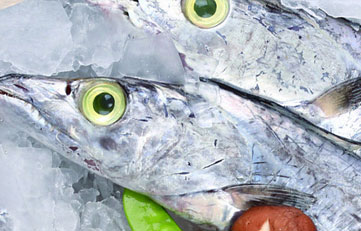 凍帶魚進(jìn)口報(bào)關(guān)注意事項(xiàng)？