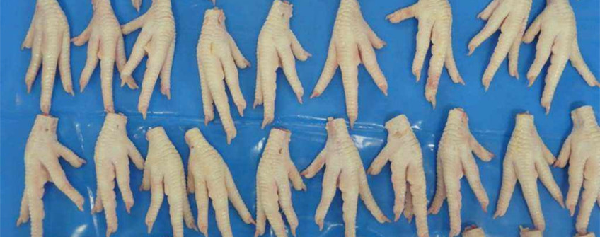 巴西凍雞爪進口廣州清關代理