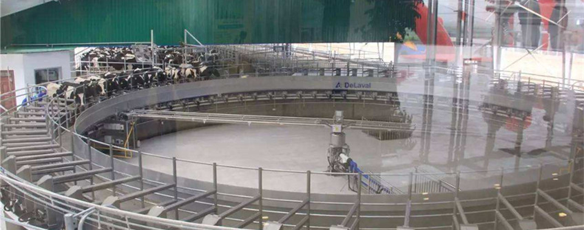 瑞典二手?jǐn)D奶機(jī)進(jìn)口中山清關(guān)