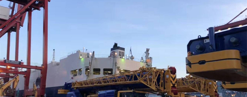 凍品凍肉國(guó)際采購(gòu)：豬頭進(jìn)口清關(guān)注意事項(xiàng)