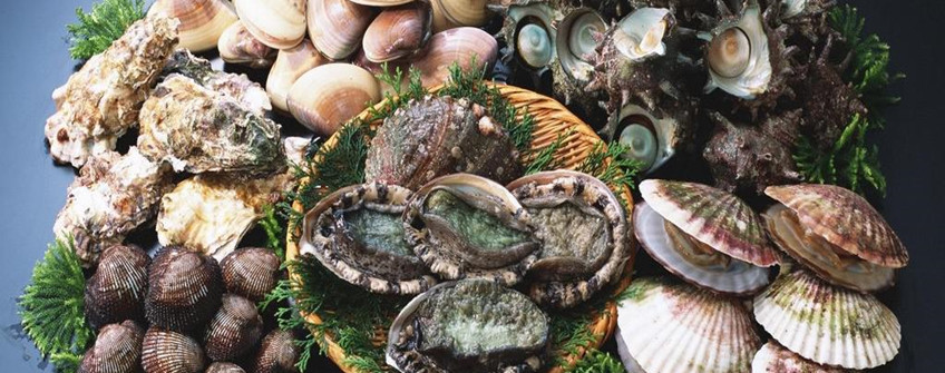 海鮮怎么進口報關？有哪些注意事項？